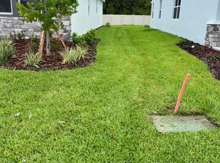 Karey H.'s Lawn Mowing Service service result