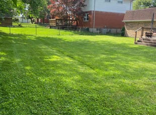 Jill R.'s Lawn Maintenance service result