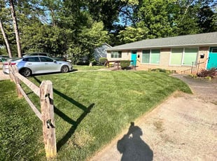 Patricia B.'s Yard Cutting service result