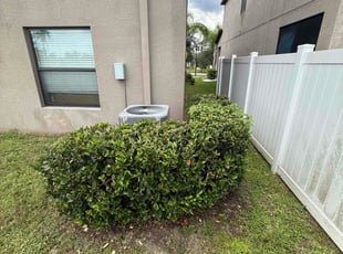 Bush Trimming by Arely Elrod for Justin H. in Ruskin, FL
