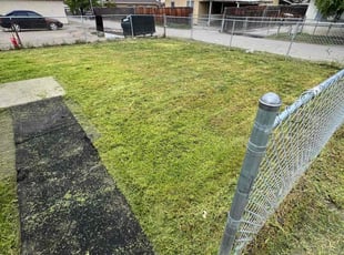 Donna M.'s Lawn Maintenance service result