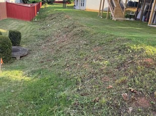 Cleanups by Armando J for Ishaan B. in Lawrenceville, GA