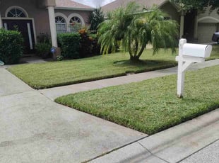 Lori L.'s Lawn Mowing service result