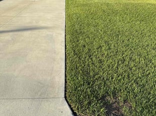 Deanna W.'s Lawn Service service result