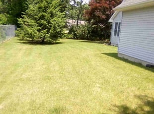 Demetrios V.'s Lawn Mowing service result