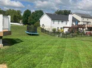 LaQuesha Q.'s Lawn Maintenance service result