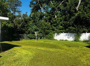 Heather O.'s Lawn Mowing service result