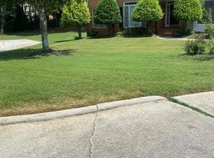 Destin B.'s Lawn Care service result