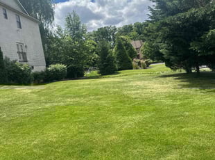 Ellie C.'s Lawn Mowing Service service result