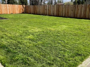 Garrett W.'s Yard Cutting service result