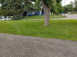 Dianthalyn S.'s Lawn Mowing Service service result