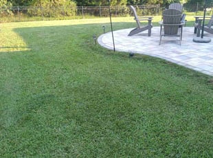 Robert S.'s Lawn Care service result