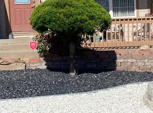 Bush Trimming by Donta Palmer for Olga O. in Colorado Springs, CO