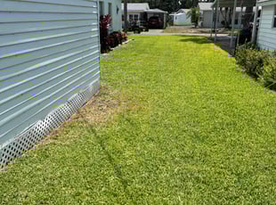 Jessica C.'s Lawn Mowing Service service result
