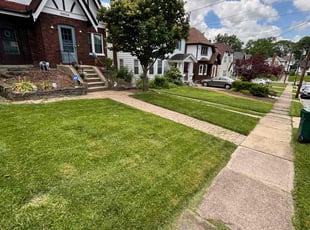 Cynthia M.'s Lawn Maintenance service result