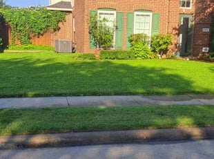 Mike K.'s Lawn Maintenance service result