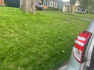 Anthony H.'s Lawn Care service result