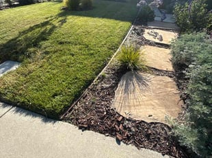 Bertha P.'s Grass Cutting service result