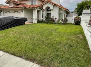 Mark D.'s Lawn Mowing service result