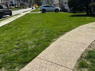 Chris D.'s Lawn Maintenance service result