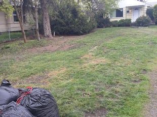 Cleanups by Nick Yerxa (DELETED ACCOUNT) for Katrina d. in Spokane, WA