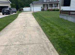 Alysia K.'s Lawn Mowing service result