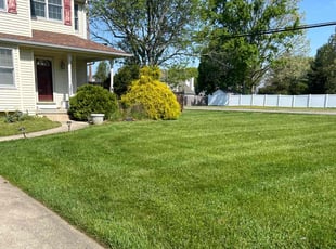 Joseph P.'s Lawn Maintenance service result