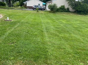 Vicki C.'s Lawn Mowing Service service result