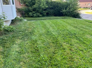Agustin R.'s Lawn Service service result