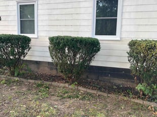 Bush Trimming by Bryant King for Tamara H. in Kansas City, MO