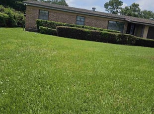 Bush Trimming by Brian Thomas for Tam N. in Jacksonville, FL