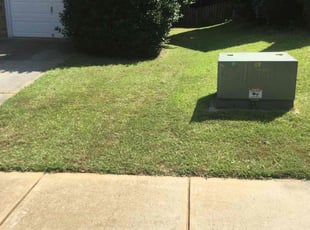 Bryan C.'s Grass Cutting service result