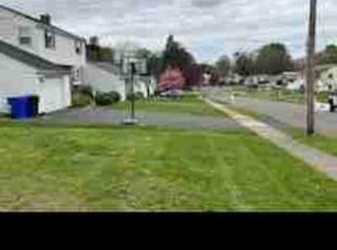 Carole E.'s Yard Cutting service result