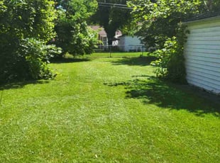 Charles B.'s Lawn Mowing service result