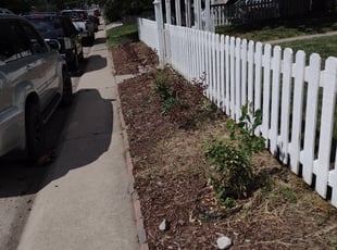 Weeding by Joseph Schweffermann for Jeff K. in Denver, CO