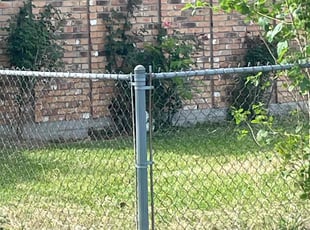 Weeding by Gabriel Cardenas for Elizabeth J. in South Houston, TX