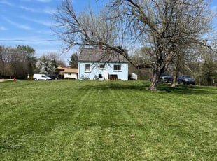 Mike C.'s Lawn Mowing service result