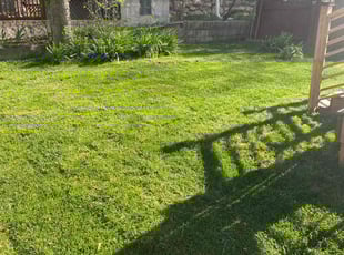 Susan L.'s Lawn Mowing service result