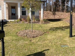Carlene B.'s Lawn Maintenance service result