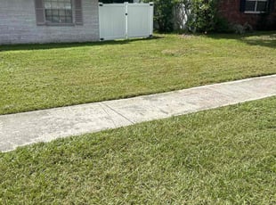 Stephen R.'s Lawn Service service result