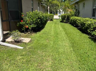 Daniel B.'s Grass Cutting service result