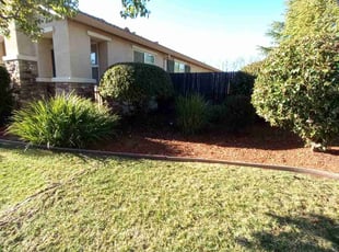 Bush Trimming by Daniel Sullivan for Connor R. in Lincoln, CA
