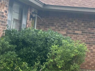 Bush Trimming by Leray Thornton for Patricia T. in Oklahoma City, OK