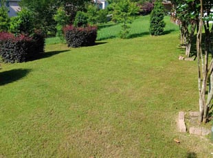 Leslie C.'s Lawn Mowing Service service result