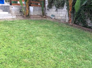 Leaf Removal by Santos Pereira for Devin C. in Los Angeles, CA