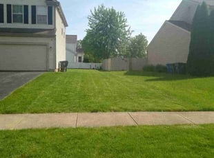 Anita T.'s Lawn Care service result