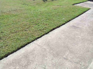 Gregory S.'s Lawn Maintenance service result