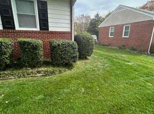 Mark F.'s Yard Cutting service result