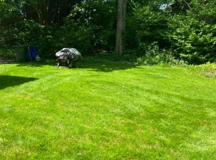 Amy R.'s Grass Cutting service result