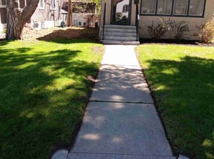 Denise B.'s Lawn Service service result